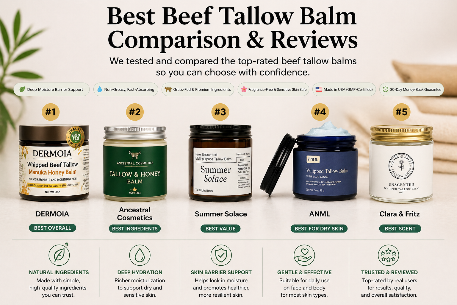 Beef tallow Cover Picture.png